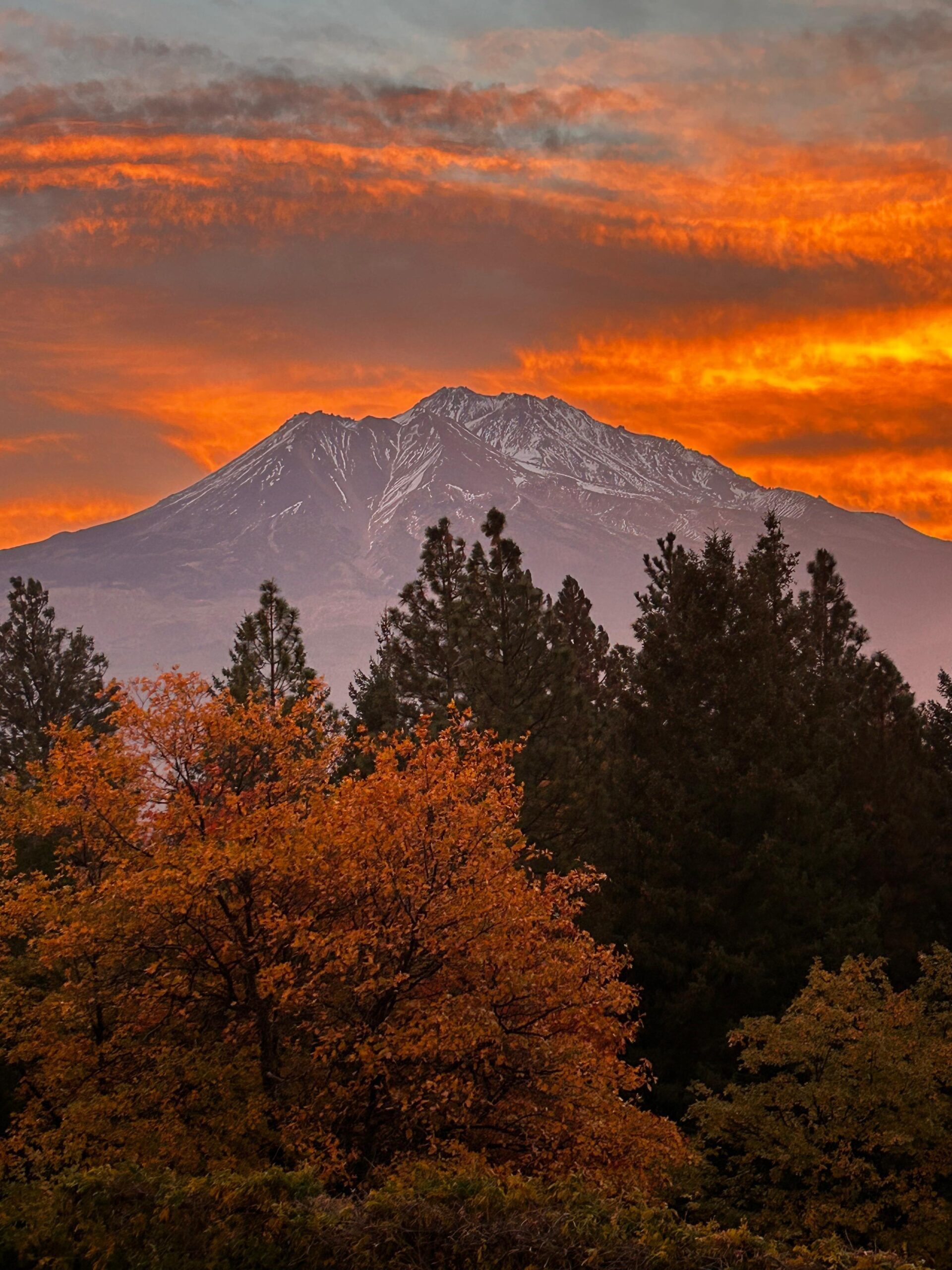 WhatsApp Image 2025-10-26 at 5.02.38 PM